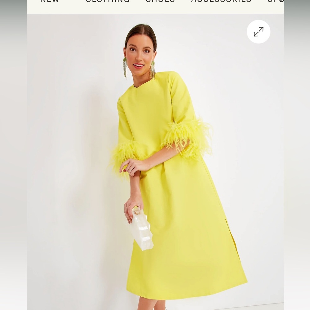 Tuckernuck Yellow Feather Dress